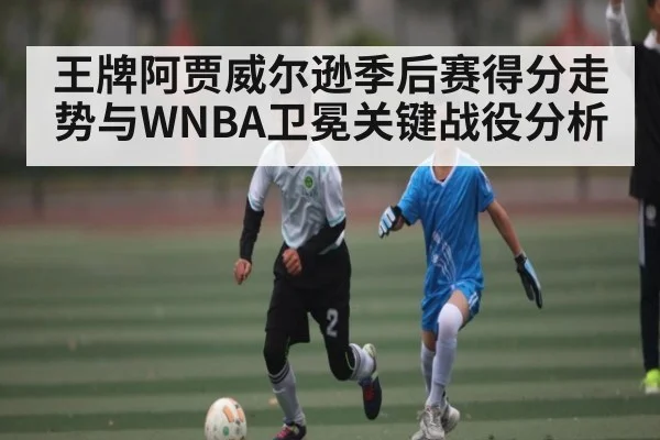 王牌阿贾威尔逊季后赛得分走势与WNBA卫冕关键战役分析